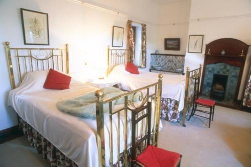 Lekkerwijn Historic Country House Franschhoek Bilik gambar