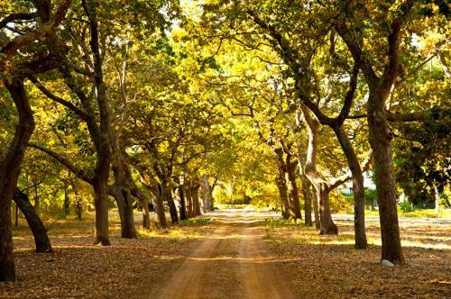 Lekkerwijn Historic Country House Franschhoek Luaran gambar